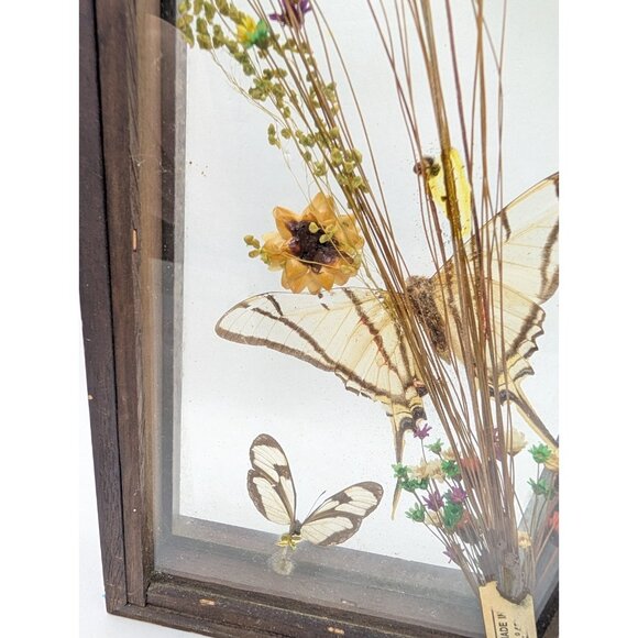 Vintage Shadow Box Butterflies Flowers display glass 12.4" x 5.4" boho READ - Picture 8 of 16